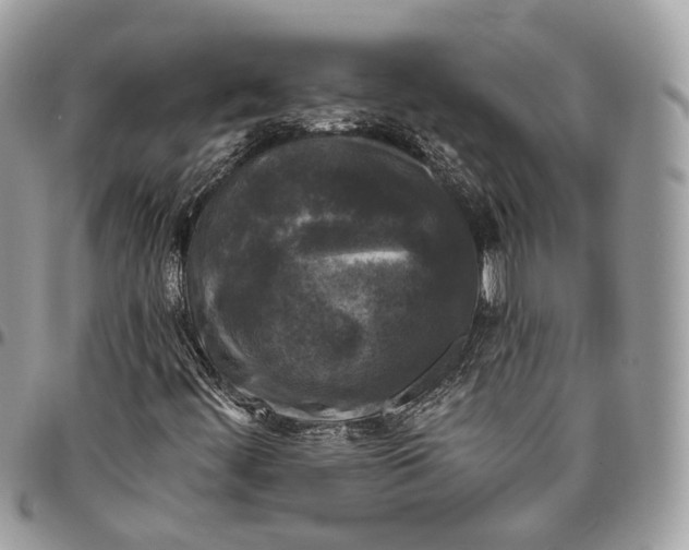 X0000096411444200802141530