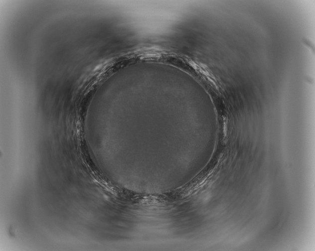 X0000096411445200802141530