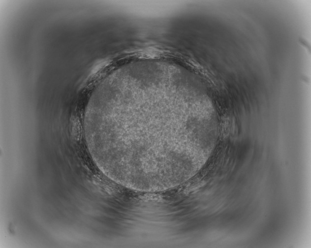 X0000096411446200802141530