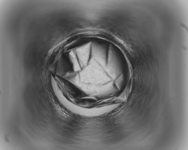 X0000096411448200802141530