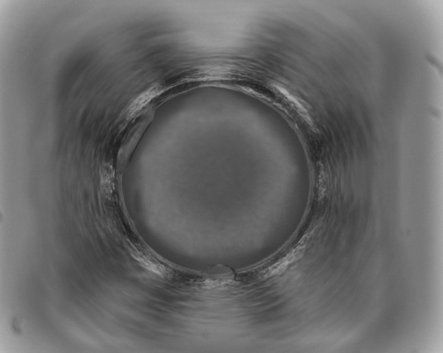 X0000096411449200802141530