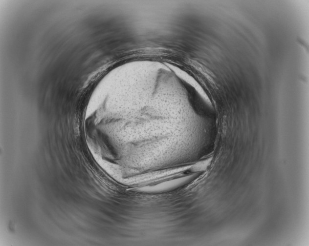 X0000096411451200802141530