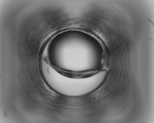 X0000096411452200802141530