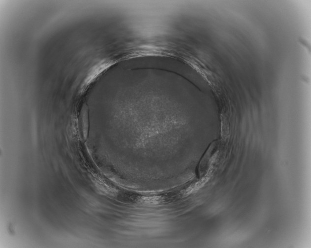 X0000096411453200802141530