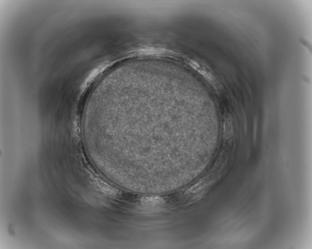 X0000096411454200802141530