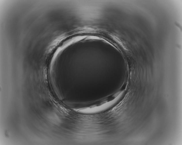 X0000096411455200802141530