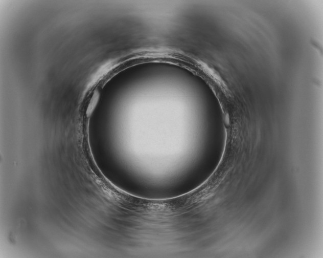 X0000096411456200802141530