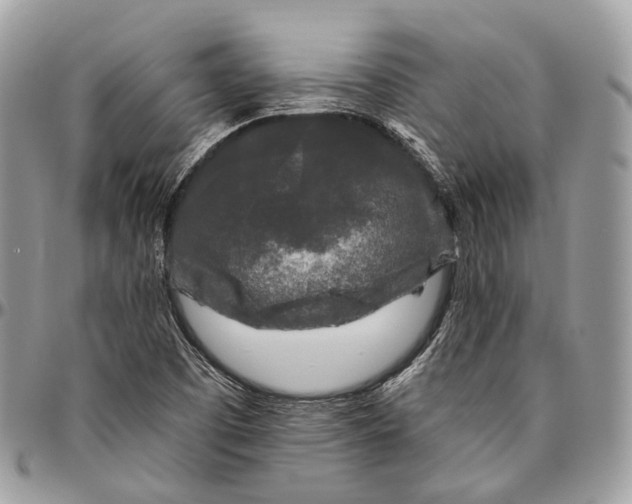 X0000096411457200802141530