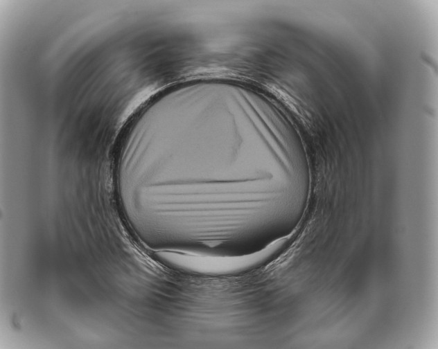 X0000096411458200802141530