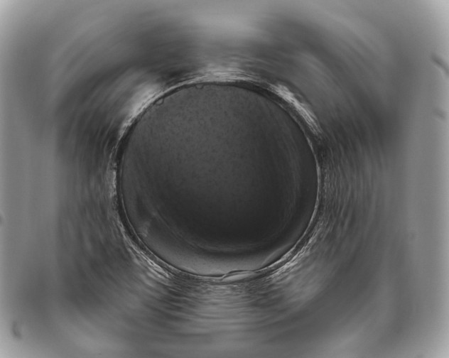 X0000096411459200802141530