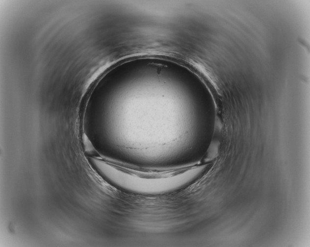 X0000096411460200802141530