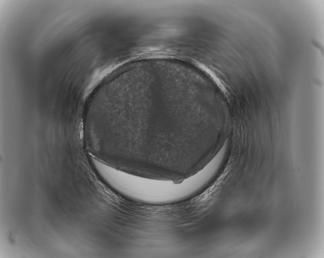 X0000096411461200802141530