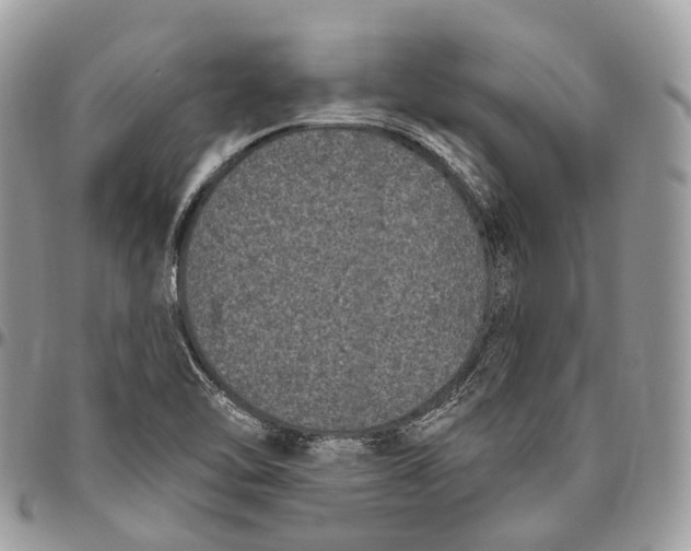 X0000096411462200802141530