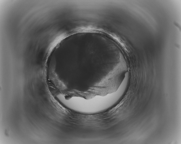 X0000096411463200802141530