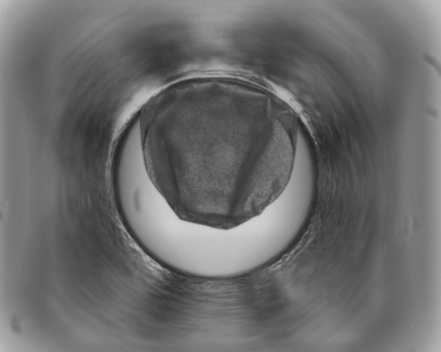 X0000096411464200802141530