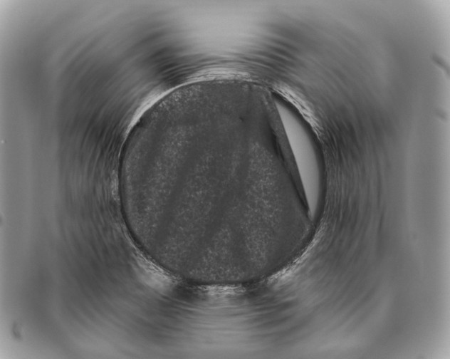 X0000096411465200802141530