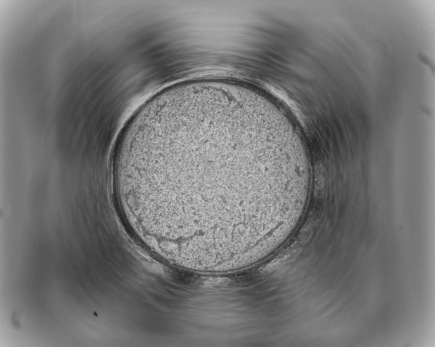 X0000096411467200802141530