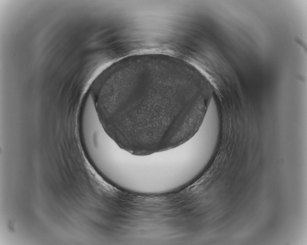 X0000096411468200802141530