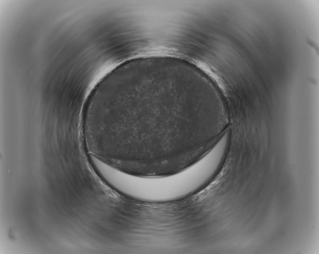 X0000096411469200802141530