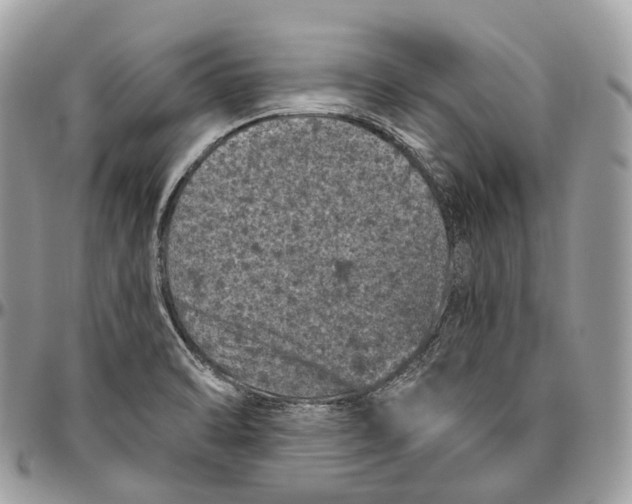 X0000096411470200802141530