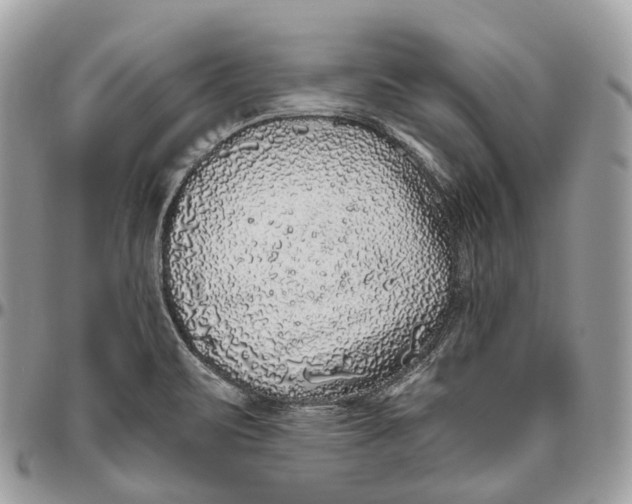 X0000096411471200802141530