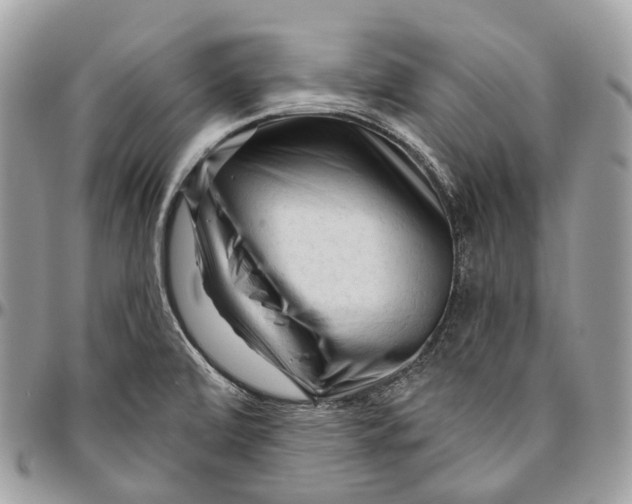 X0000096411472200802141530