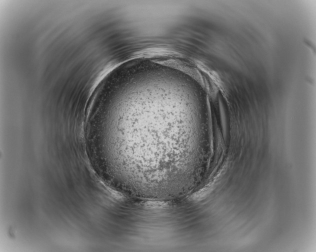 X0000096411473200802141530