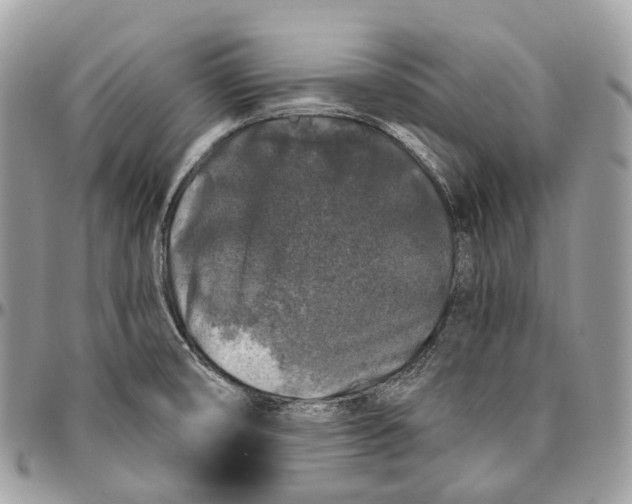 X0000096411474200802141530