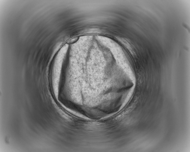 X0000096411475200802141530