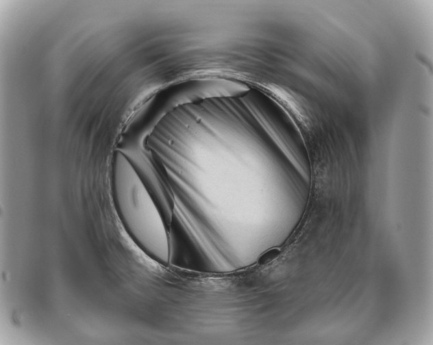 X0000096411476200802141530