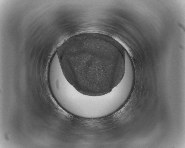 X0000096411477200802141530