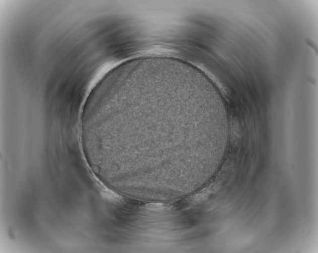 X0000096411478200802141530