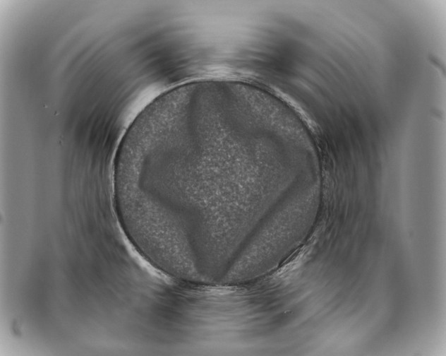 X0000096411479200802141530