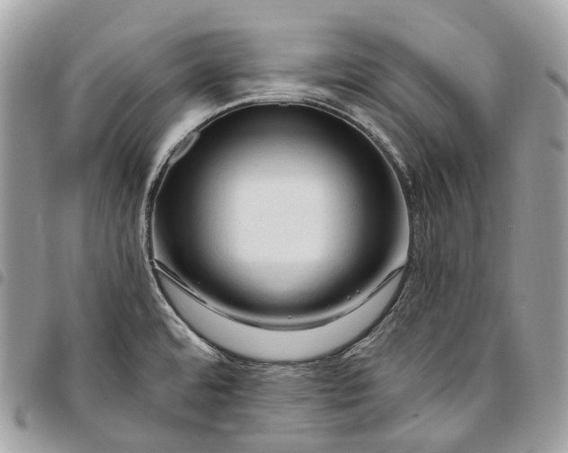 X0000096411480200802141530