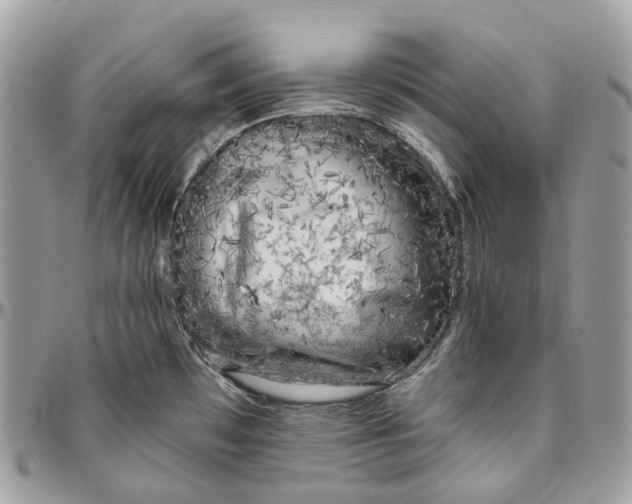 X0000096411481200802141530