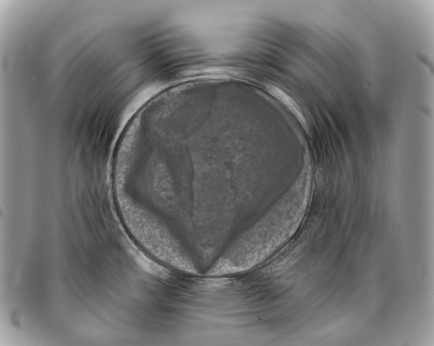 X0000096411482200802141530