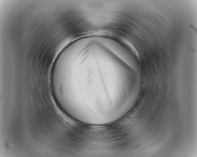 X0000096411483200802141530