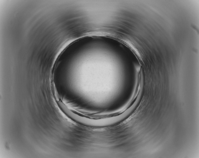 X0000096411484200802141530