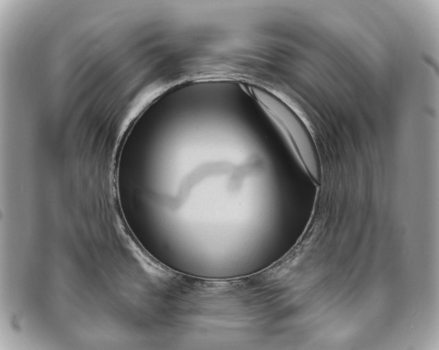 X0000096411485200802141530