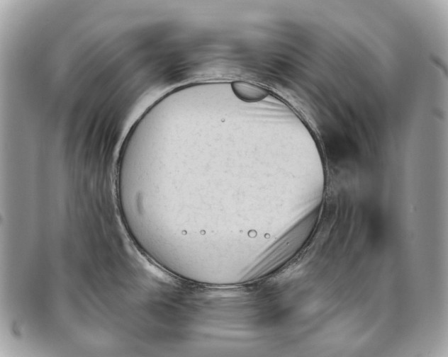 X0000096411486200802141530