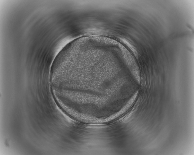 X0000096411487200802141530