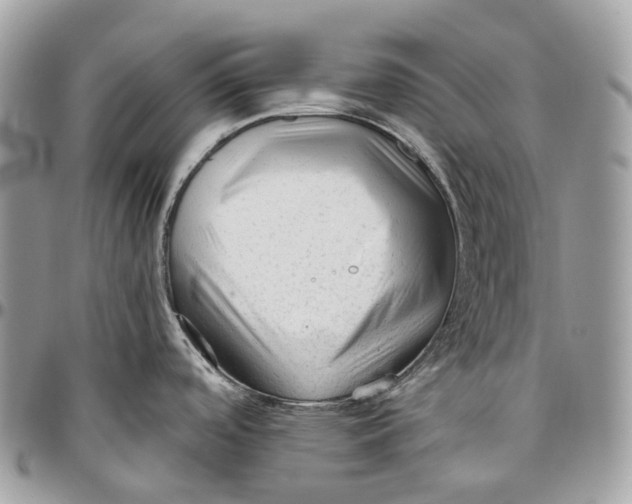 X0000096411488200802141530