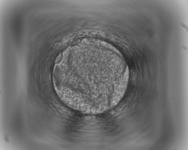 X0000096411489200802141529