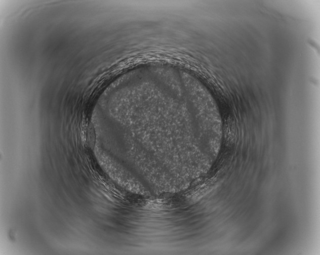 X0000096411490200802141529