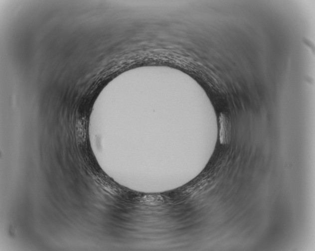 X0000096411491200802141529