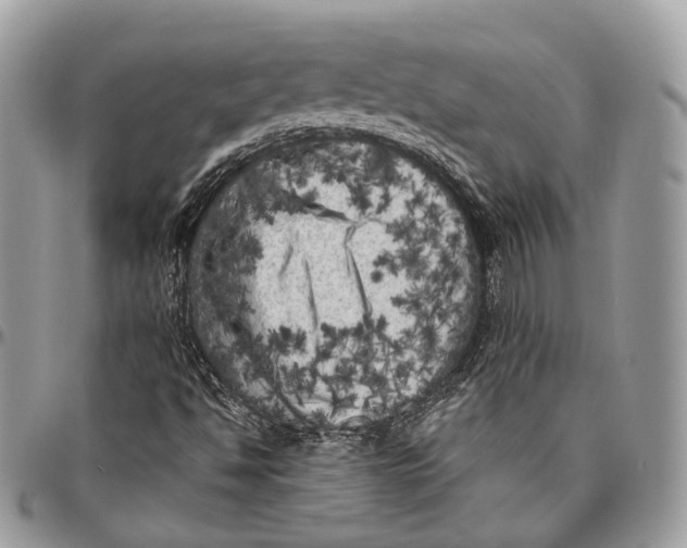 X0000096411494200802141529