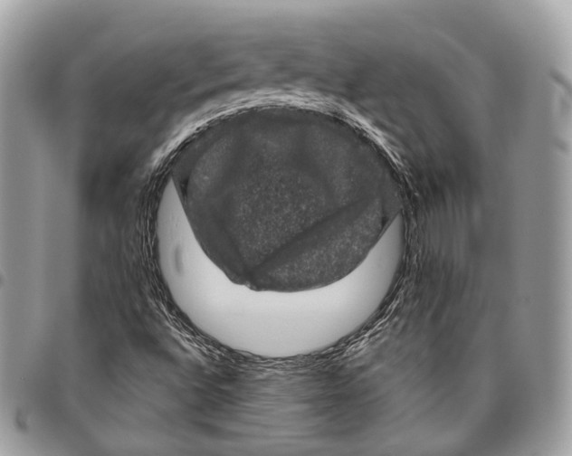 X0000096411496200802141529