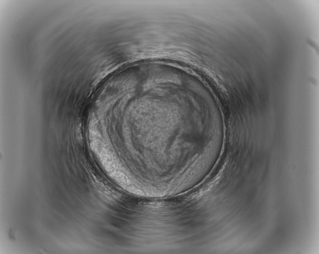 X0000096411497200802141529