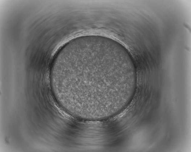 X0000096411498200802141529