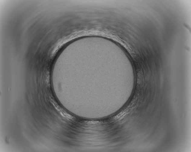 X0000096411499200802141529